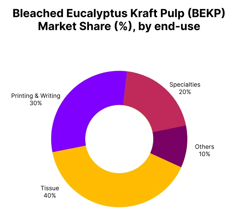 BEK Pulp market share end use