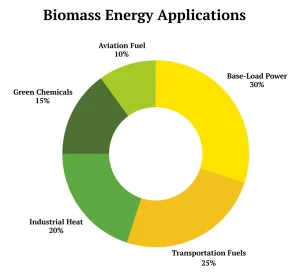 Description: Biomass Energy applications (%) share, by type 