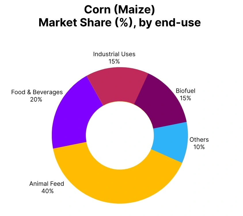 corn market share end use