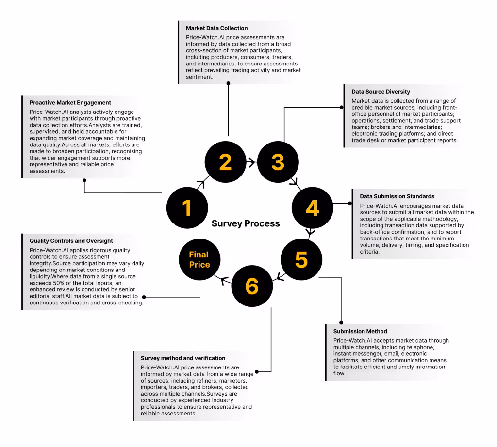 Survey Process
