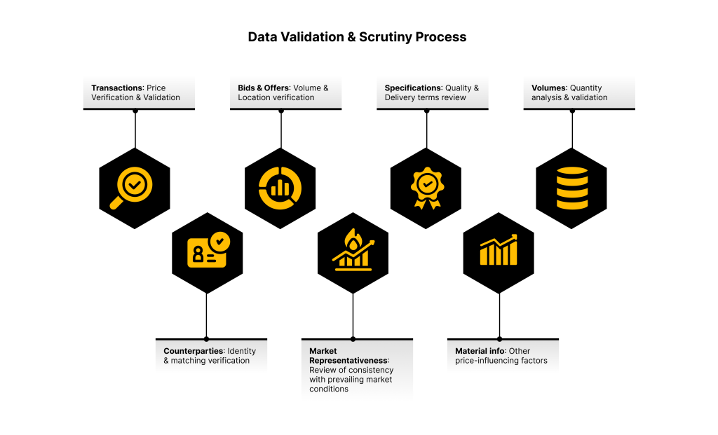 Data Validation Scrutiny Process