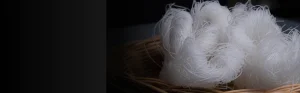 Crude-Linked Cost Surge Reshaping Polyester Staple Fibre Pricing Across Asia