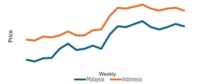 Biodiesel Boom Tightens Palm Oil Supply and Fuels Price Rally