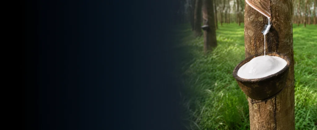 Can Weak Tire Demand Offset Weather-Driven Supply Risks in Natural Rubber?