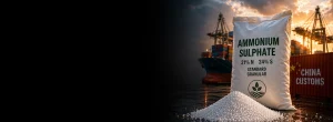 Ammonium-Sulphate-Market-Outlook