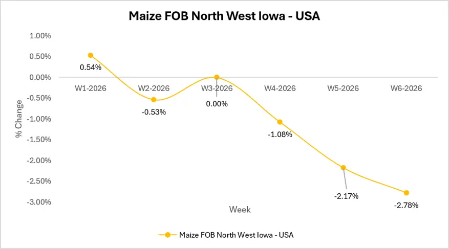 corn market outlook
