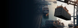 Commodity Market Outlook