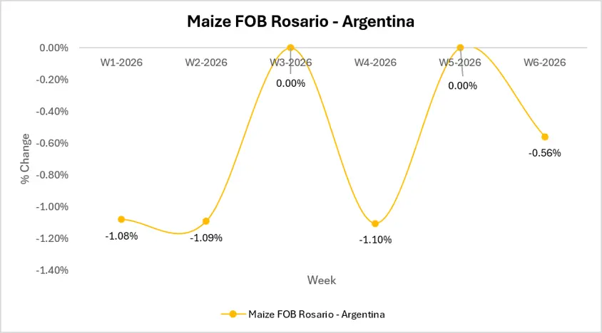 corn market outlook