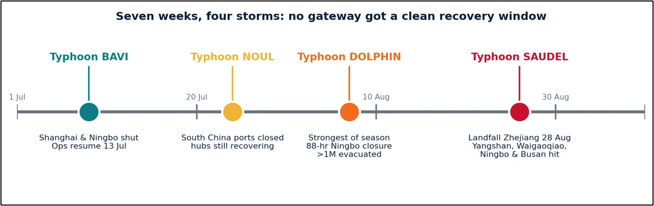 seven weeks four storms